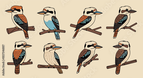 Kookaburra birds perched on branches