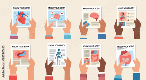 Human body organs information posters collection