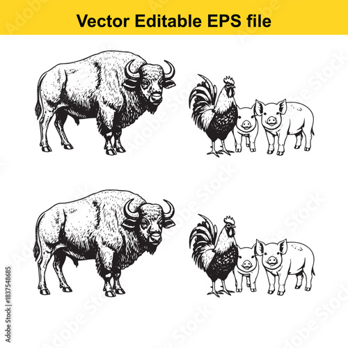  farm animals set bison, rooster, and piglets handdrawn vector illustration in vintage engraving style