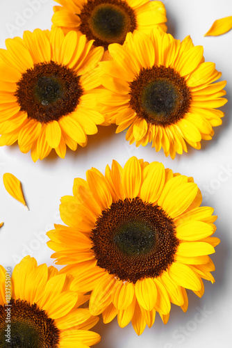 Beautiful sunflowers and pe...