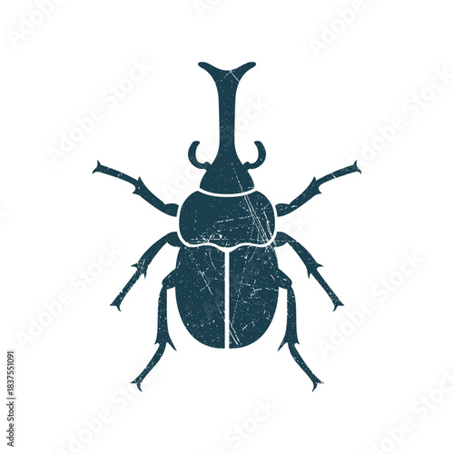 Beetle Bugs Insect Silhouette Illustration Vector Template
