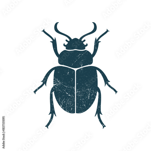 Beetle Bugs Insect Silhouette Illustration Vector Template