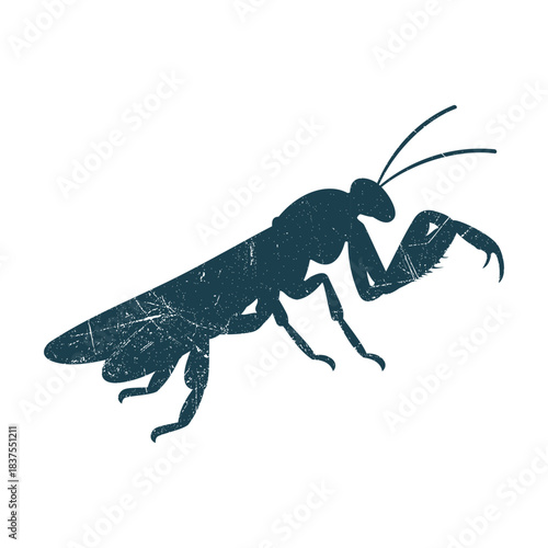 Mantis Grasshopper Insect Silhouette Illustration Vector Template