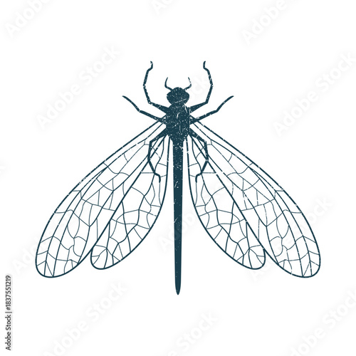 Dragonfly Insect Silhouette Illustration Vector Template