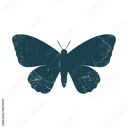 Butterfly Insect Silhouette Illustration Vector Template
