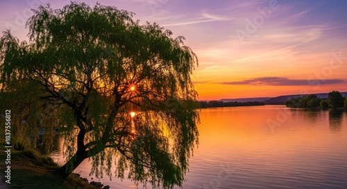 Weeping Willow Silhouette at Golden Sunset Over Tranquil Water with Reflective Sky