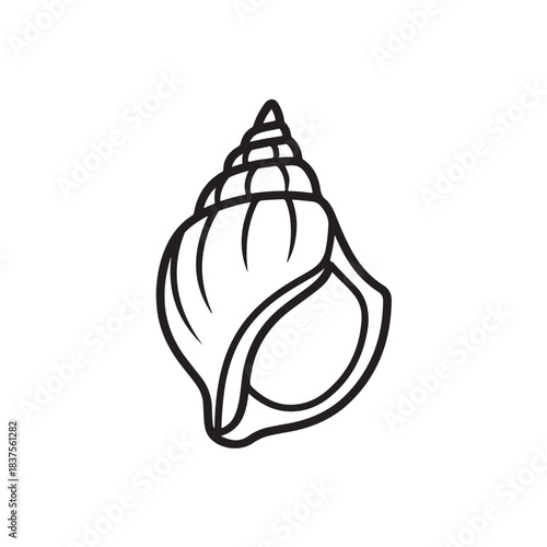 vector illustration of onion