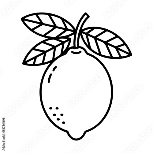 Lemon Line Art: a simple and elegant line art illustration of a lemon, complete with leaves and stem, offering a fresh, natural aesthetic.