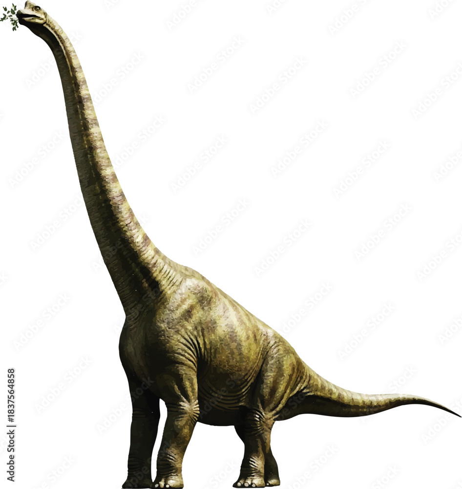 Fototapeta premium kind of dinosaurs