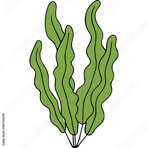 Green Seaweed Underwater Plant Life Nature Ocean Marine Flora Aquatic Growth Isolated On Black Background Minimalist Style