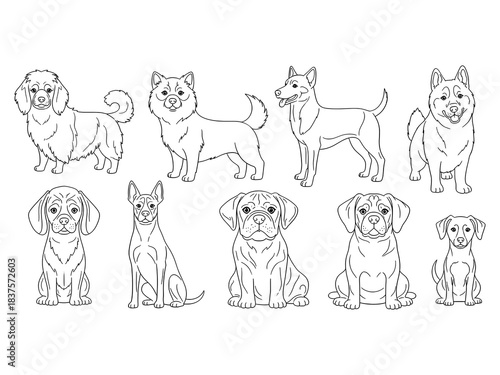 Dog Breeds Line Art