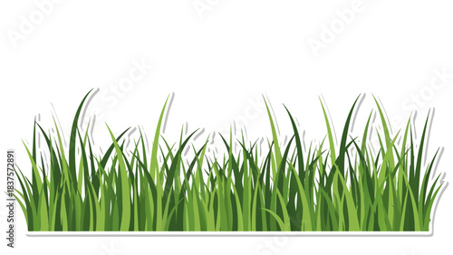 Vibrant Green Grass Border with Detailed Blades and Subtle Highlights on a Transparent Background Suitable for Spring and Summer Designs