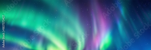 Polar lights, aurora borealis, starry sky, northern landscapes, vector illustration