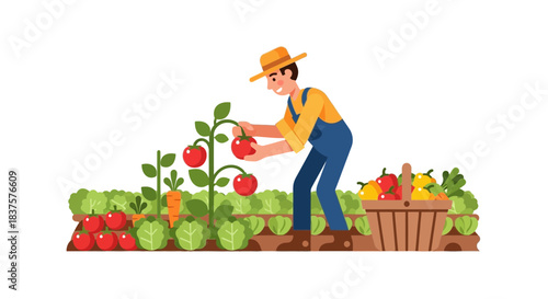 Happy farmer harvests ripe tomatoes and peppers in his lush garden for fresh, healthy eating and sustainable living, embodying organic lifestyle values