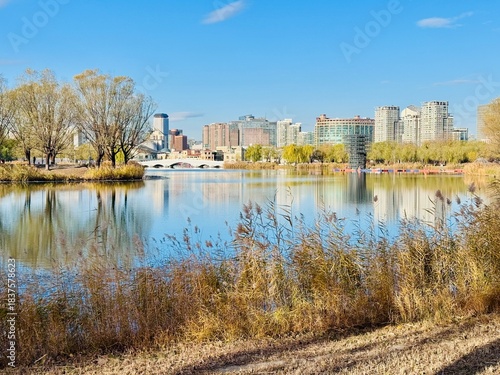 Chaoyang Park in Autumn