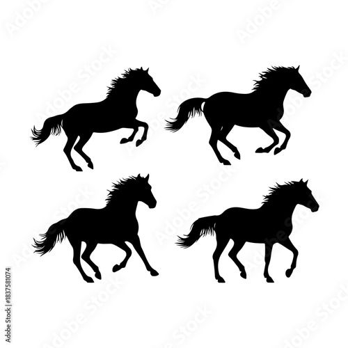 Four horse silhouettes isolated on transparent background