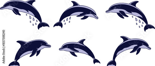 Stylized dolphin vector set with water droplets, jumping and swimming poses, black isolated marine artwork, playful ocean animal design, aquatic silhouette illustration