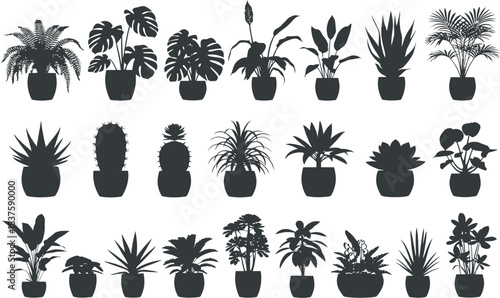 Elegant Vector Silhouettes of Potted Indoor Plants for Creative Projects