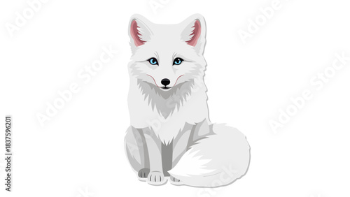 Arctic Fox Portrait With Blue Eyes and Fluffy Tail Sitting In A White Full Body View Against A Black Background