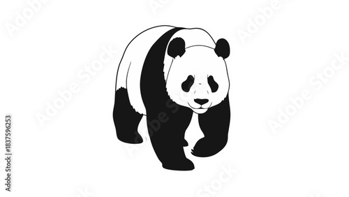 Black and white panda walking forward against a solid black background with a white outline highlighting its form