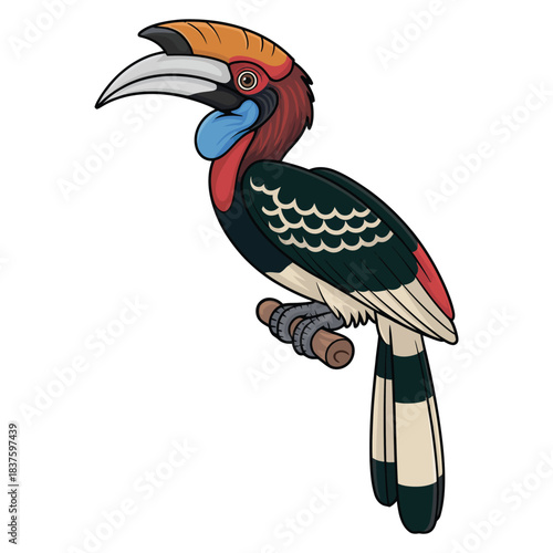 great hornbill