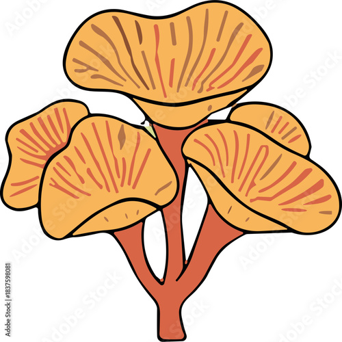 Orange Fleshy Fungi Cluster with Reddish Stems Against a Stark Black Background A Detailed Stylized Botanical Illustration