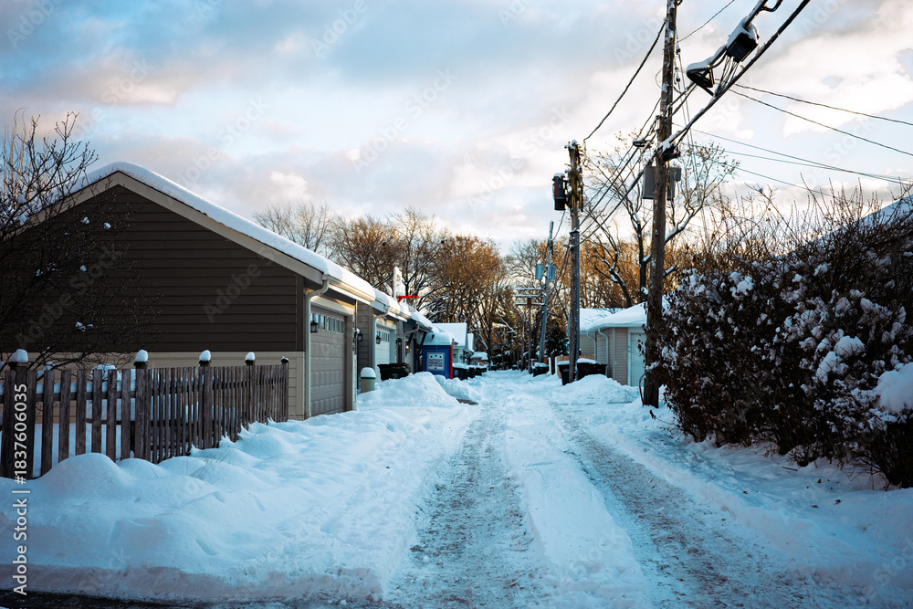 Fototapeta premium snowfall