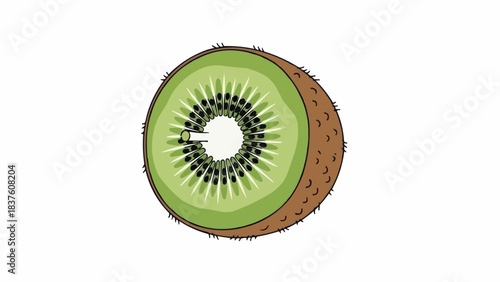 Freshly Sliced Kiwi Fruit Half with Juicy Green Flesh.