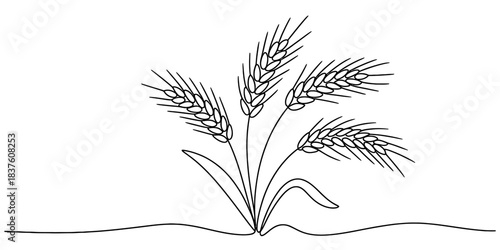Black and white line drawing of a cluster of wheat stalks growing from the ground, isolated on continuous one line art of vector illustration