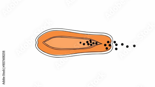 Papaya fruit cut in half showing seeds and flesh.