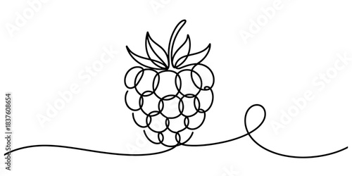 Minimalist continuous line art drawing of a raspberry fruit with a decorative flourish, isolated on continuous one line art of vector illustration