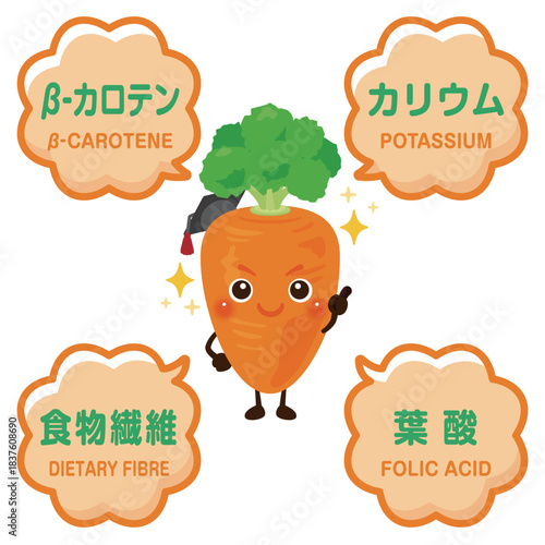 人参のキャラクターと人参に含まれる成分イラスト／Cute Carrot Character Illustration with Nutrients