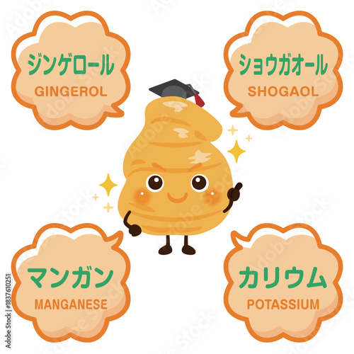 生姜のキャラクターと生姜に含まれる成分イラスト／Cute Ginger Character Illustration with Nutrients