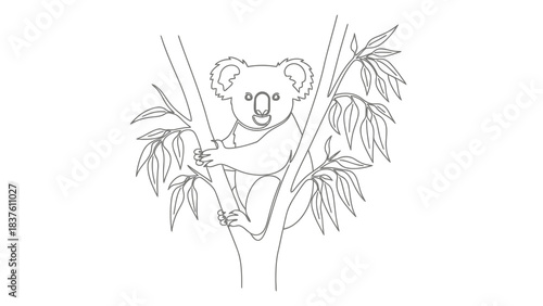 Line art illustration of a cute koala climbing on a eucalyptus tree branch, simple outline