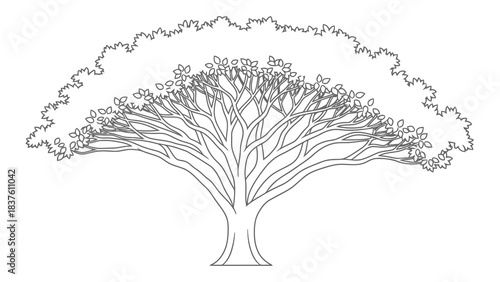 Stylized line art illustration of a deciduous tree with detailed branches and lush foliage