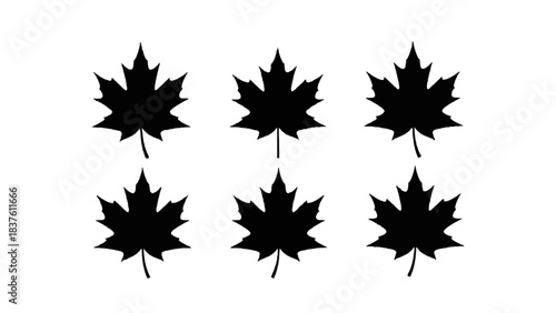 Vector illustration of six black maple leaf silhouettes isolated on transparent background