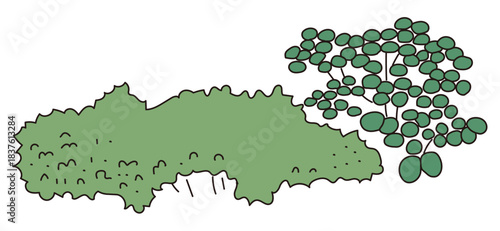 Commercial facility planting design | Vector illustrations of stylish exteriors, shrubs, and symbol trees