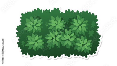 Detailed Overhead View Of A Lush Green Bush With Visible Leaves And A White Outline On A Transparent Background Representing Nature And Growth