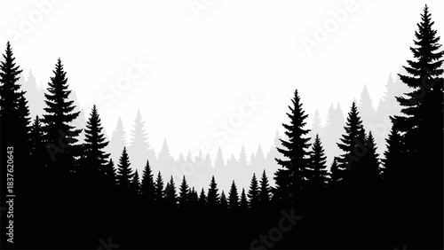 Silhouette of a Dense Evergreen Forest Landscape.