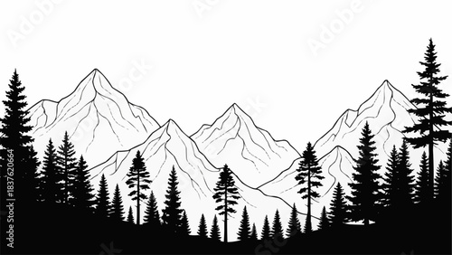 Silhouette of pine trees in front of majestic snow-capped mountains.