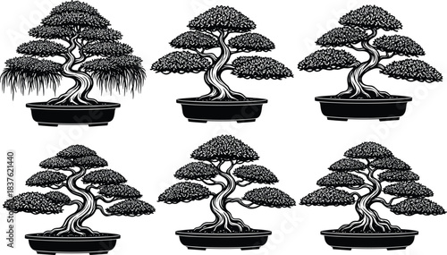 Collection of detailed bonsai tree illustrations in elegant black silhouette style, featuring traditional miniature Japanese plants for zen garden vector artwork design