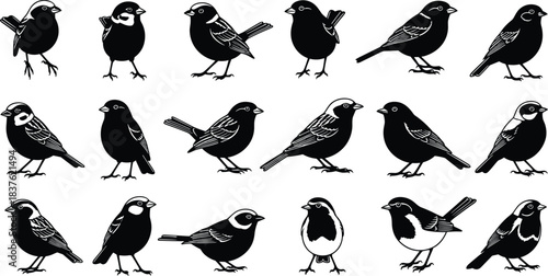 Collection of small songbird silhouettes in various standing and perched poses, detailed vector illustration ideal for nature artwork, wildlife design and decorative graphics