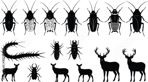 High detail insect and deer silhouette vector collection featuring cockroaches, centipede, beetles, and wildlife animals for nature, biology, pest control, and educational illustration