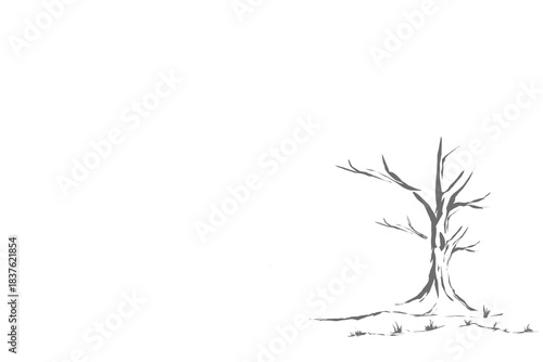 white landscape with silhouettes of fallen trees