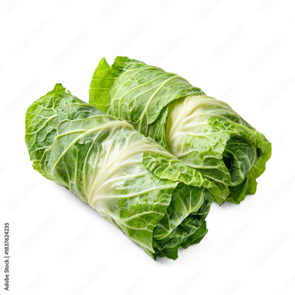 Fototapeta premium vegetables, such as in stuffed cabbage rolls. full length isolate on transparent background