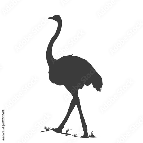 silhouette of an ostrich without background