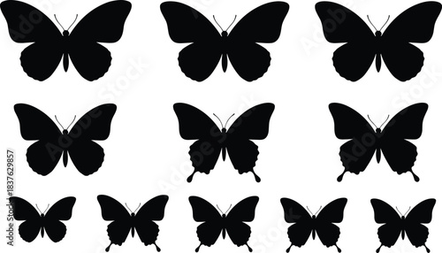 Butterfly silhouette collection, elegant insect vector set, decorative wing shapes, nature graphic icons, simple butterfly illustration, cad drawing flat vector illustration