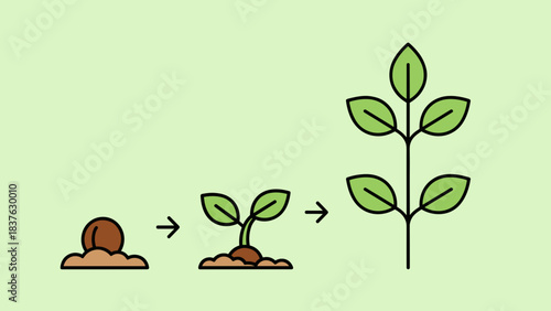 Sequence of Seed to Seedling: A Small Plant Emerging with Green Leaves.