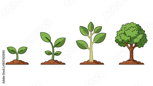 Progression of Growing Plants from Seedling to Small Tree in a Row.