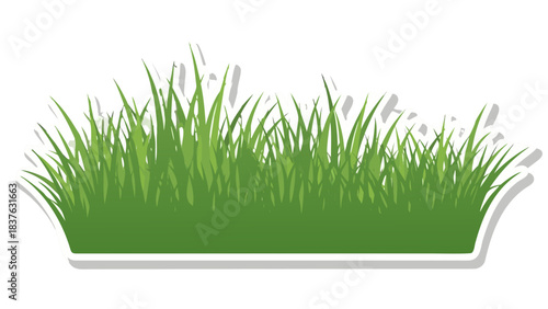 Green Grass Field Border Element with White Outline and Shadow Effect Natural Outdoor Botanical Growing Vegetation